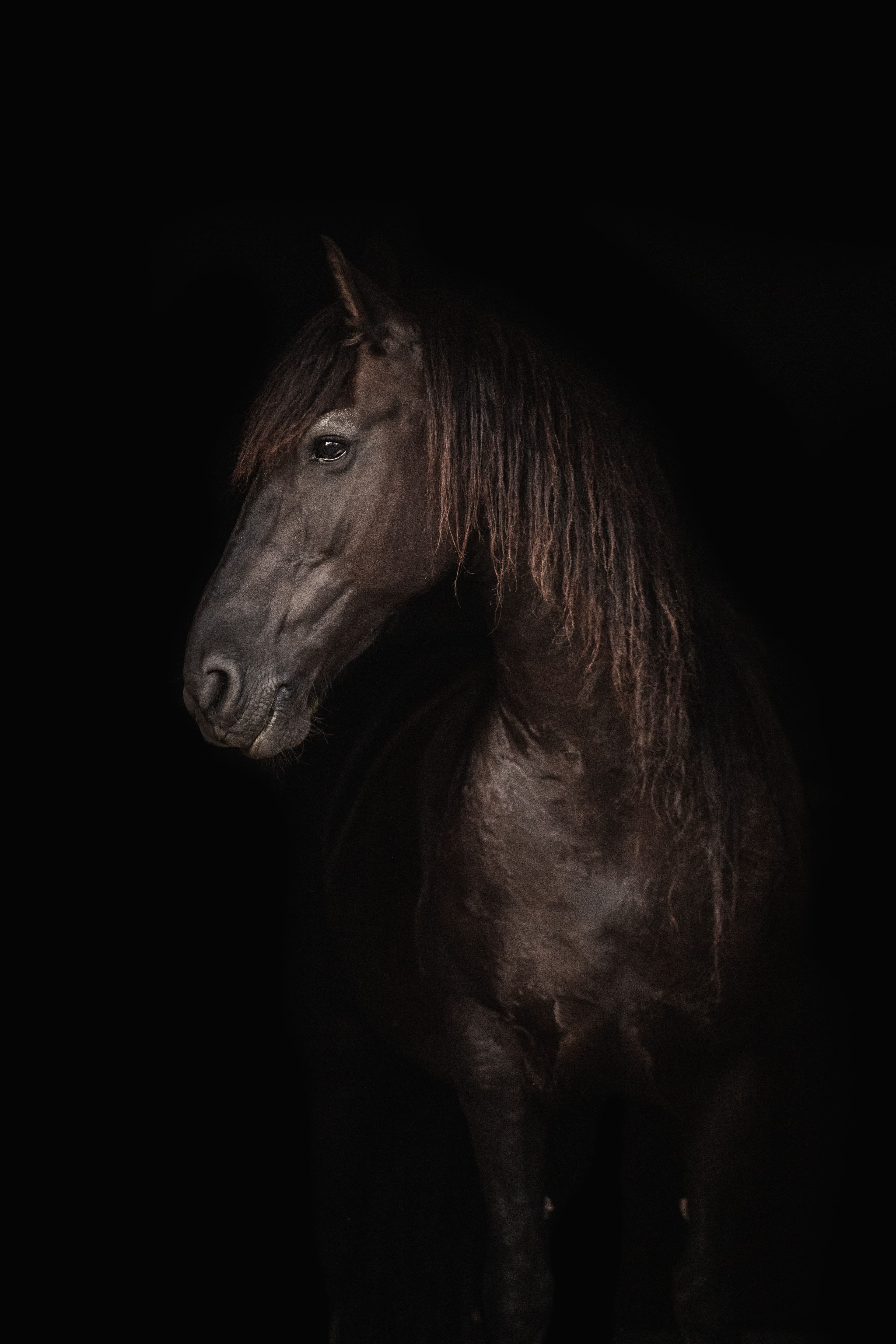 Midnight Thunder